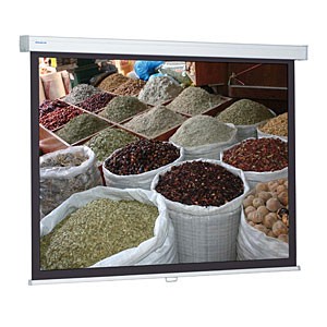 ProScreen CSR 160 x 160 cm